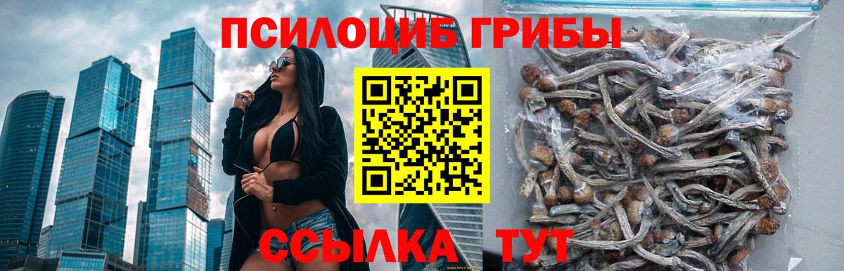 Псилоцибиновые грибы MAGIC MUSHROOMS  Вход с VPN  Галлюциногенные грибы Magic Shrooms  Благовещенск 